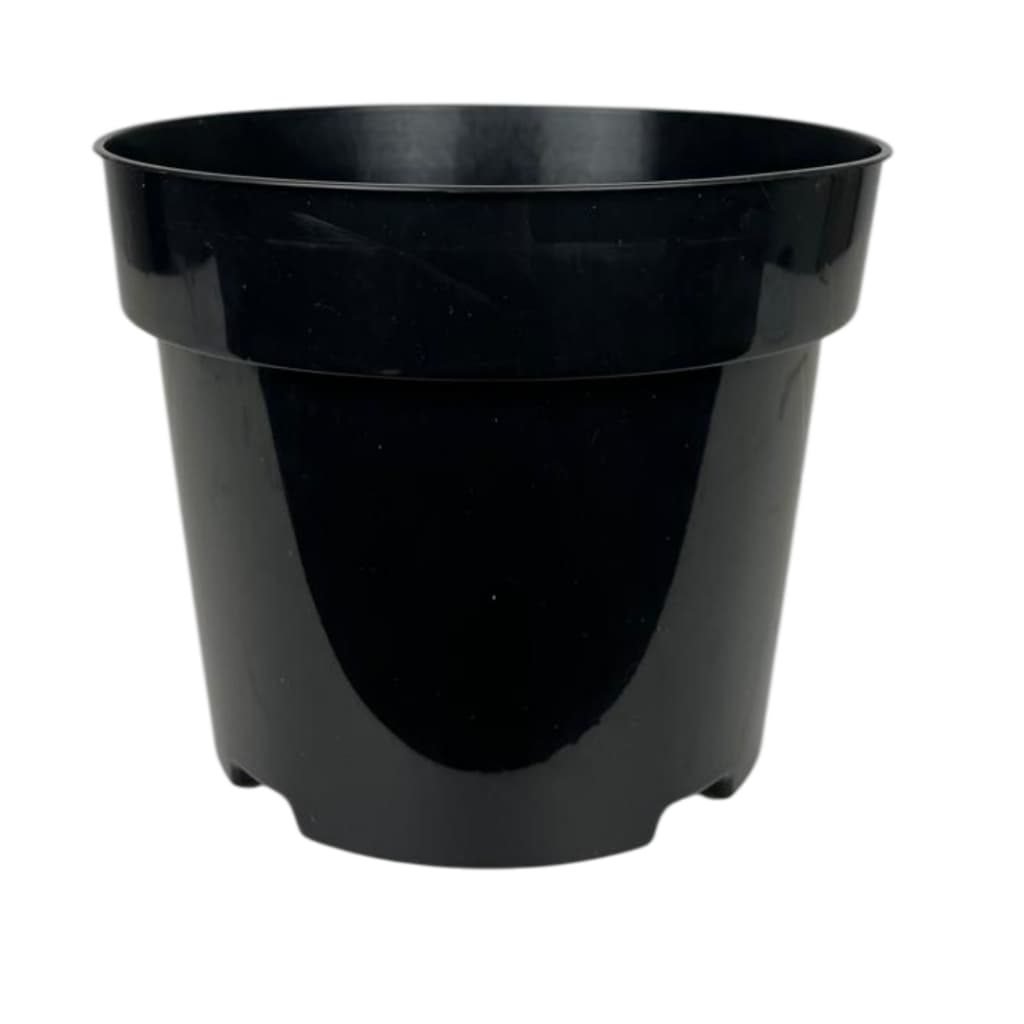 Vaso n.⁰ 17